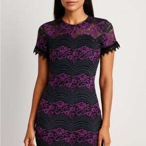 Romeo & Juliet Lace whimsy goth, dark romance, holiday, elegant cocktail dress